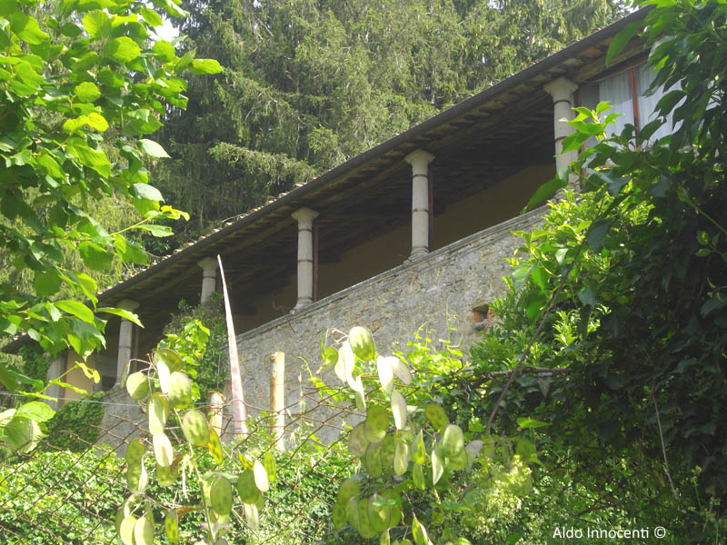 PITORNECCA: VILLA CHELUCCI 4
